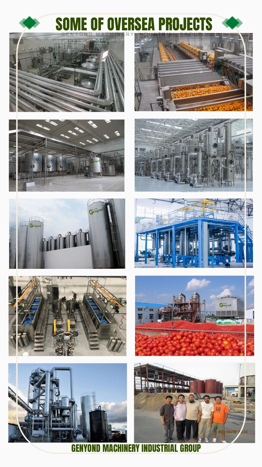 Fruit and Vegetable Lyophilizer/Freeze Dryer Equipment Freeze Drying Machine