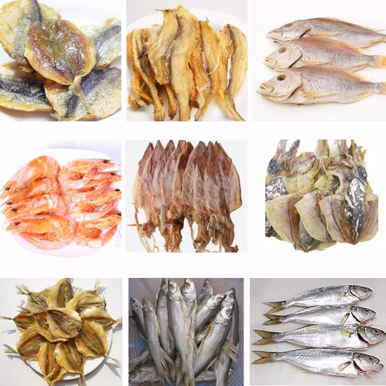 Kinkai Heat Dryer Déshydrateur de machine de séchage de gingembre